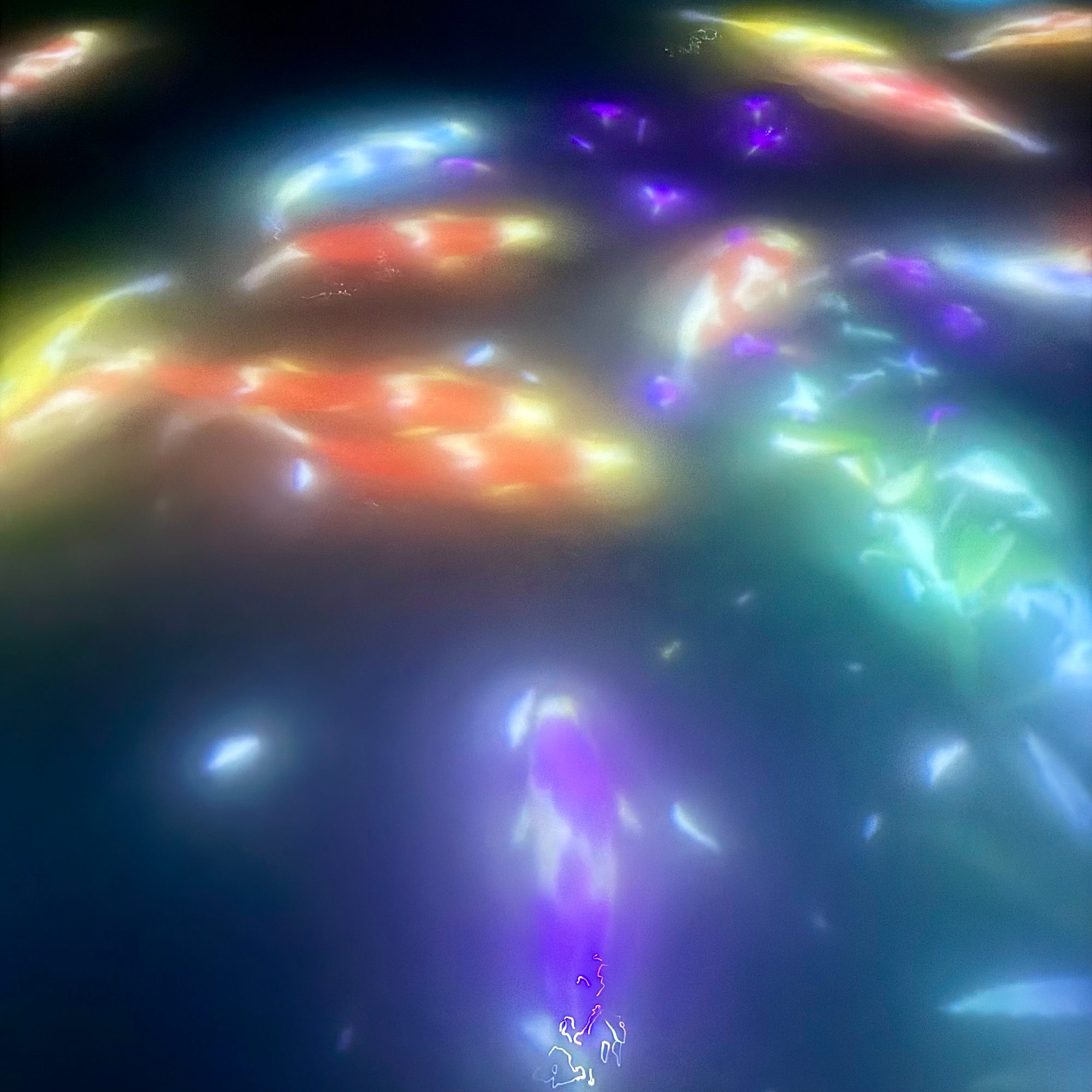 Wading through the digital water and fish at TeamLab Planets