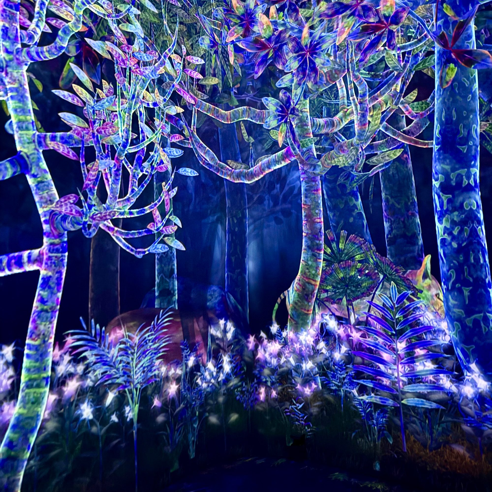 The luminous digital forest at teamLab Planets in Tokyo