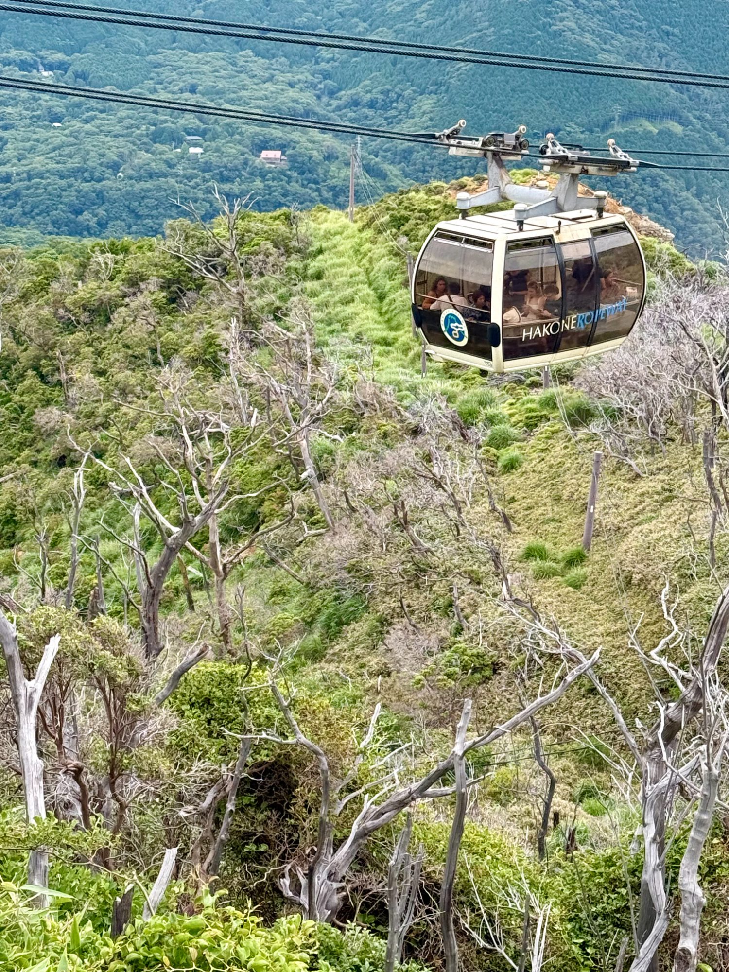 The Hakone Ropeway gondola crossing the mountains
